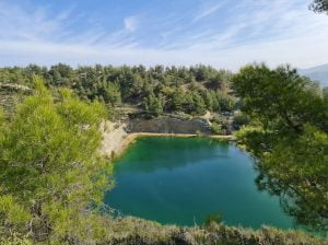 Organic Botanical Bee Park in the Troodos Mountain Range geographical area in Cyprus.