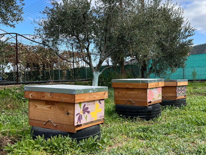 Apianthos organic honey - calm, peaceful and hard workers